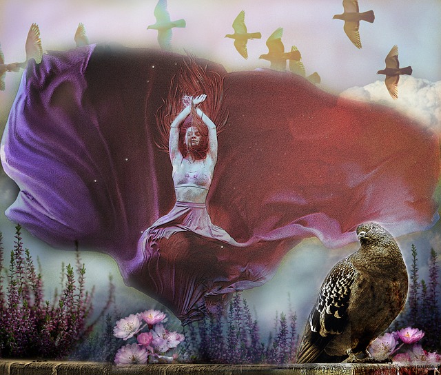 操控者的高 操控者的高